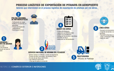 Infografía de actores que intervienen en la exportación aérea de pitahaya